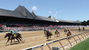 venue avatar