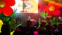 venue avatar
