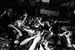 venue avatar