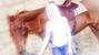 venue avatar